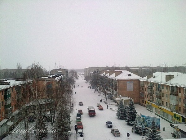 1460_2.jpg