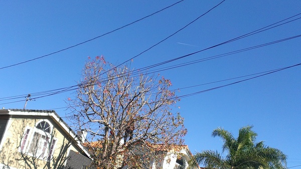 IMAG0449.jpg