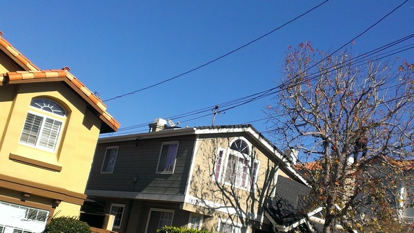 IMAG0450.jpg