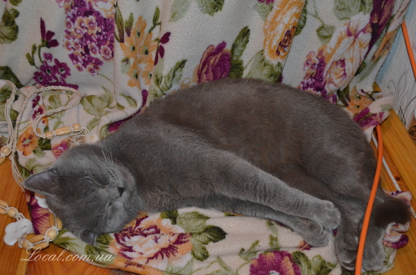 DSC_0198.jpg