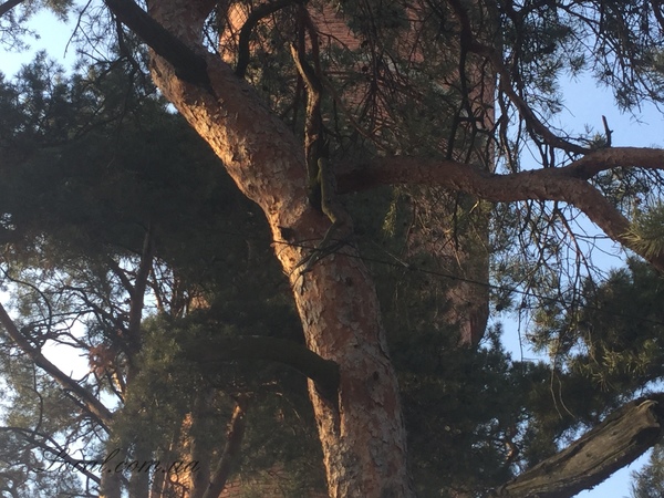 2015-03-19 16-23-41.jpg