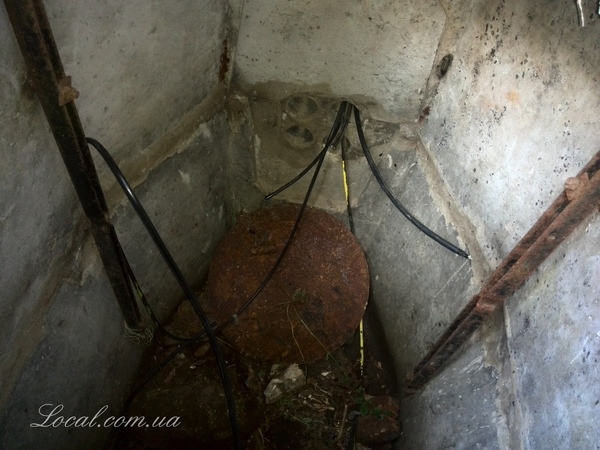 2015-06-11 06.56.45.jpg