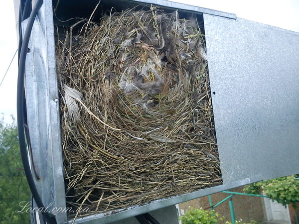 DSC00009(01.09.12) (64).jpg