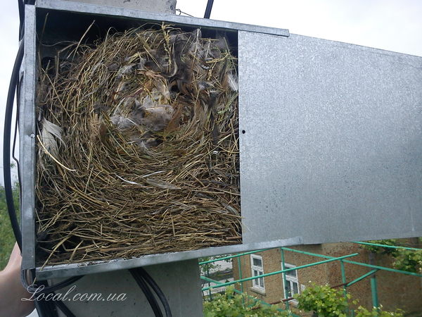 DSC00009(01.09.12) (65).jpg