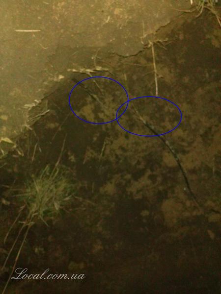 Пахарь трахарь.jpg