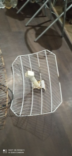 photo_2021-09-25_19-41-55 (2).jpg