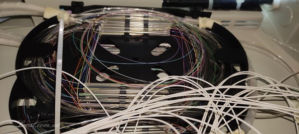 253644016_4973482336035411_4229431248632376274_n.jpg