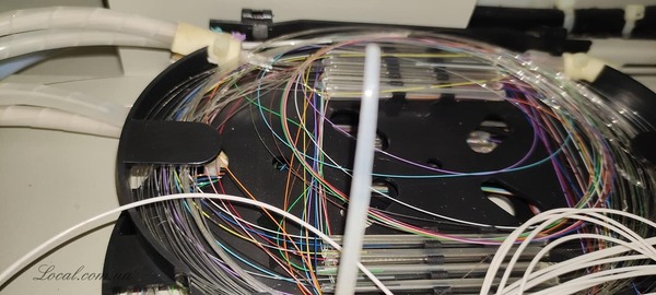 254530060_4973482442702067_4198167396023604189_n.jpg