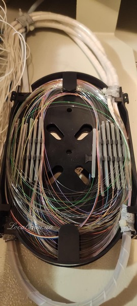 255520984_4974744159242562_4957164358568135196_n.jpg