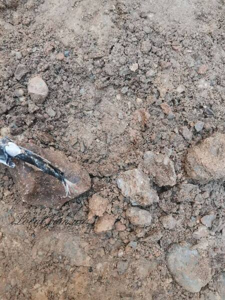 photo_2022-05-11_08-59-32 (2).jpg