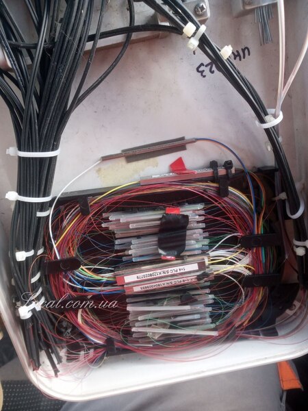 photo_2022-05-19_16-55-00 (2).jpg