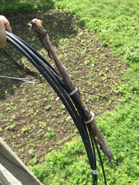 photo_2022-05-26_14-14-03 (2).jpg