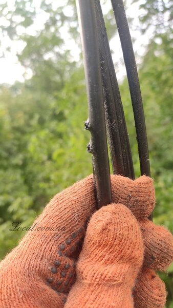 photo_2022-08-26_17-10-32 (2).jpg