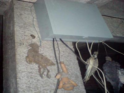 post-11172-073519200 1287257198_thumb.jpg