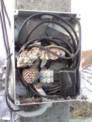 post-9953-014149700 1287322804_thumb.jpg