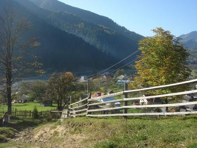 post-8181-013387600 1293107489_thumb.jpg