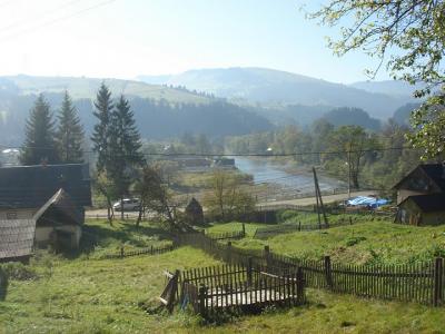 post-8181-074623200 1293107479_thumb.jpg