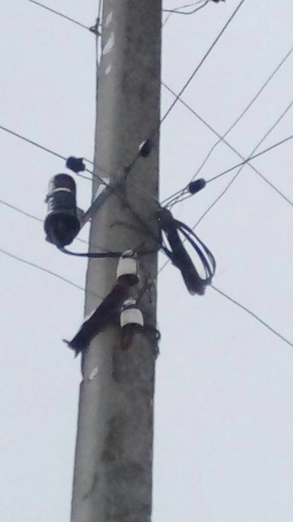 IMG-00e27f80360f4cf9a62e08e1b98025ce-V (1).jpg