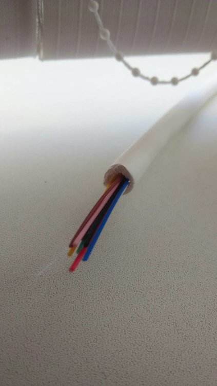 12 вол фото 1.jpg