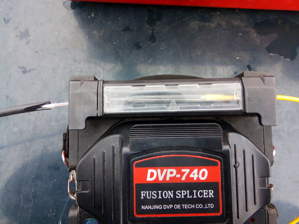 P90110-135920.jpg