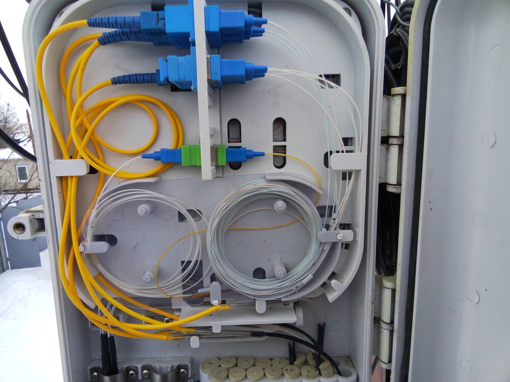 P90110-143013.jpg.11aaa0a070f95ee00fadab470aa6c633 (1).jpg