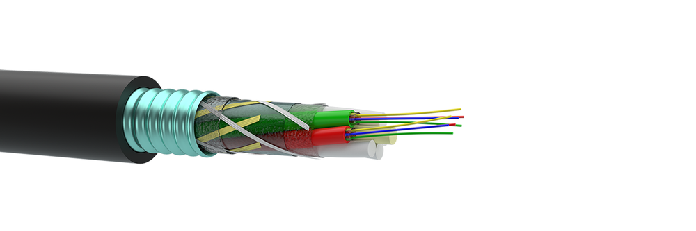 Img_17186_2.png